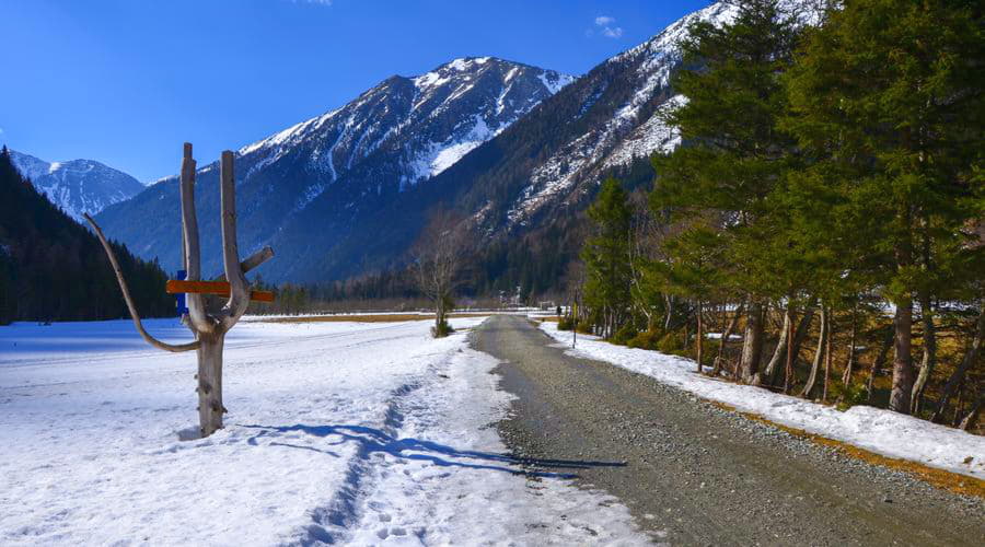 I nostri servizi di noleggio auto offrono una vasta selezione di veicoli a Mallnitz.